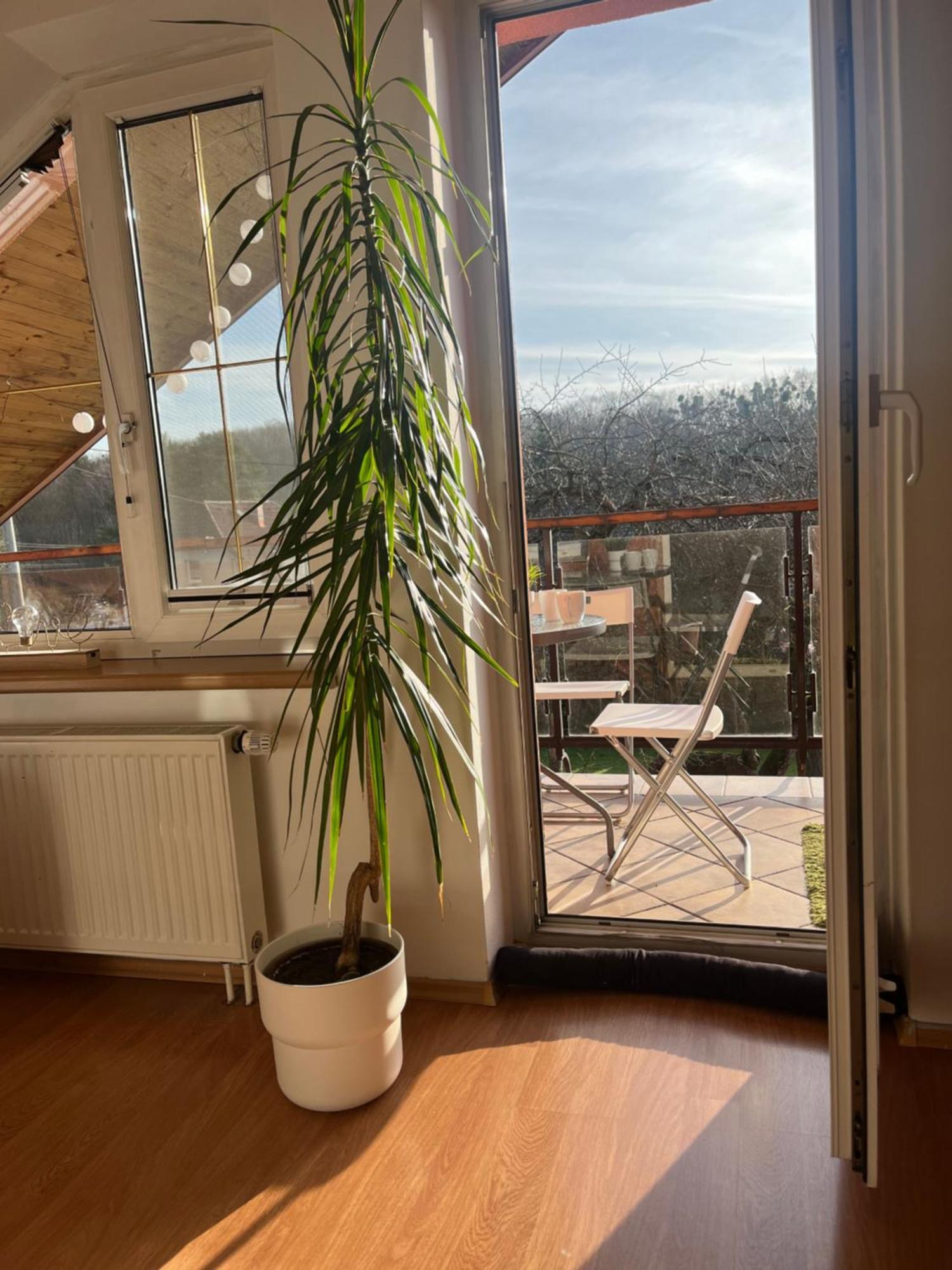 Podkrovni S Balkonem Privatunterkunft *